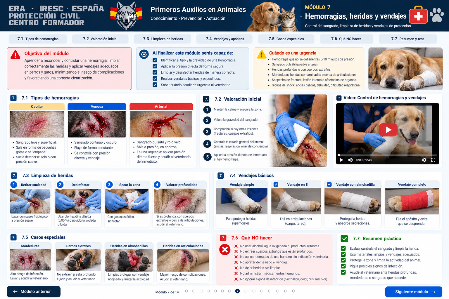 Hemorragias, heridas y vendajes en perros y gatos